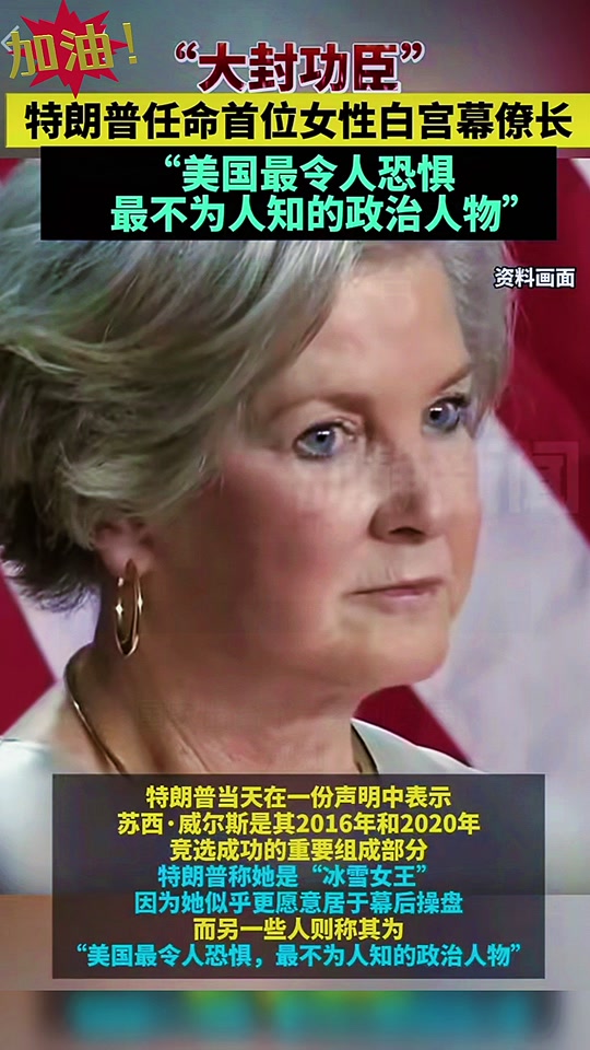 幕僚长苏珊.威尔斯是谁 - 抖音