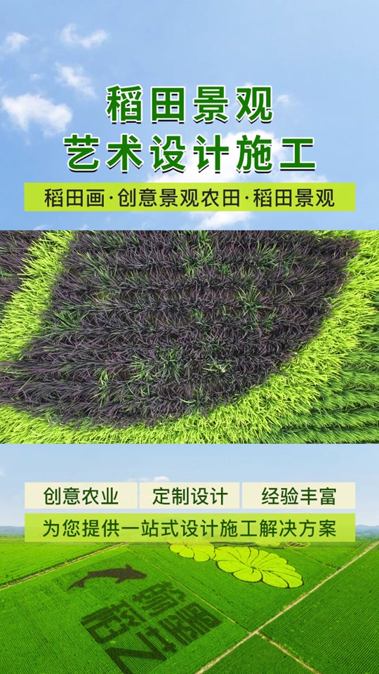 徐州稻田作画制作价格,翰墨稻艺是一家以稻田画艺术景观设计与施工为