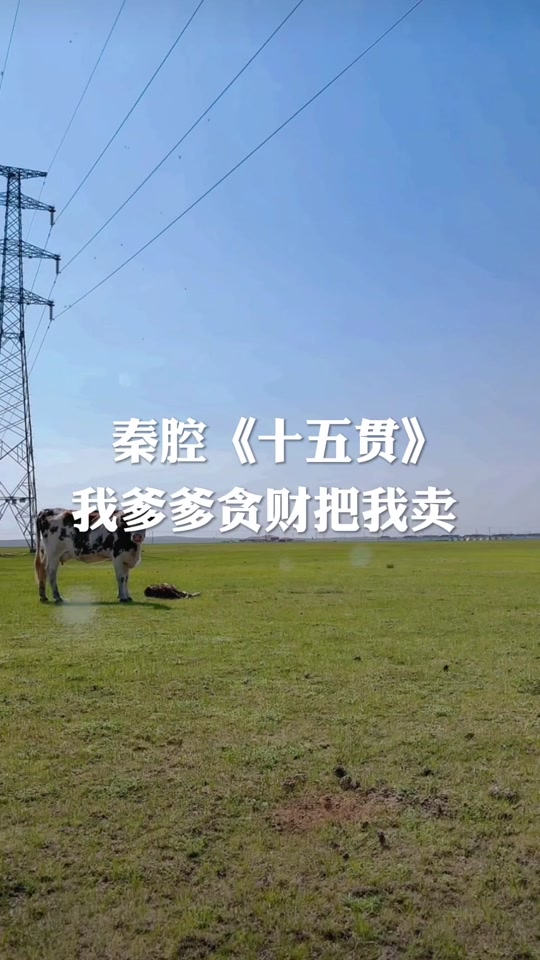 抖音打电话怎么打爹爹的手机号码
