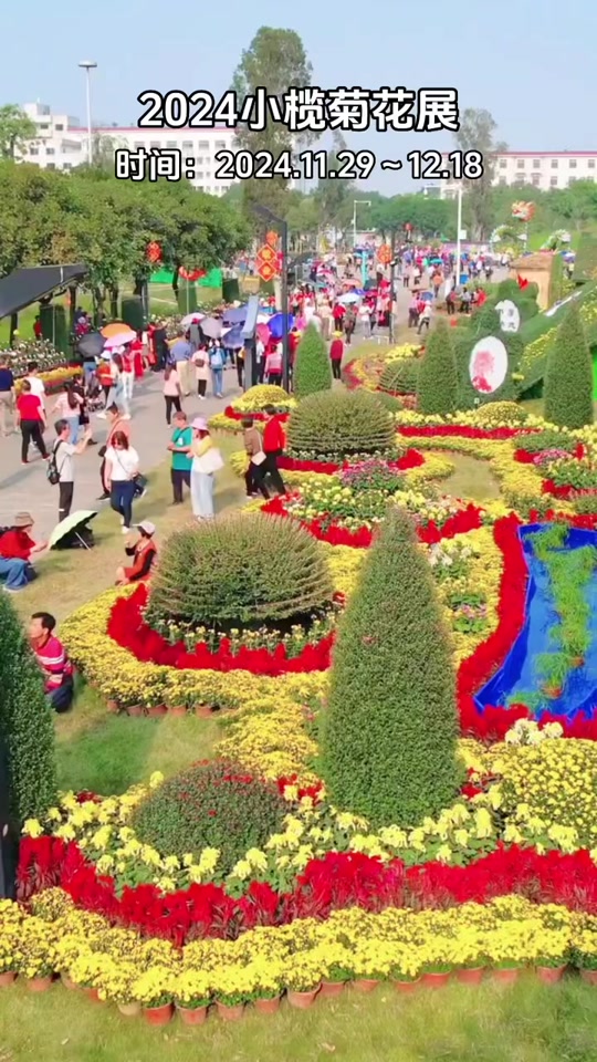小榄2024菊展几时开始 - 抖音