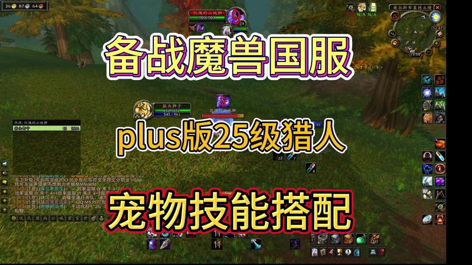 魔兽世界怀旧服猎人怎么看宠物界面 - 抖音