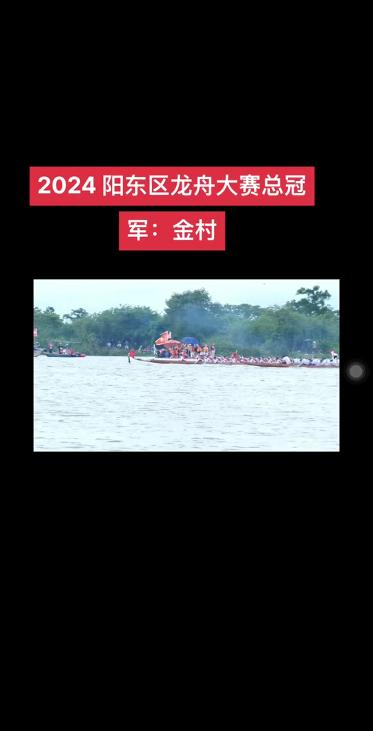 安丰塘赛龙舟2024哪个队冠军 - 抖音