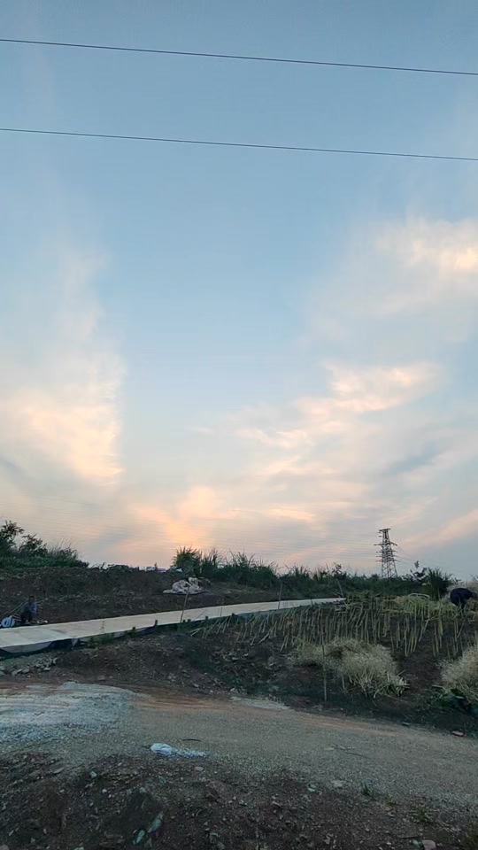 安岳天气预报天气大全