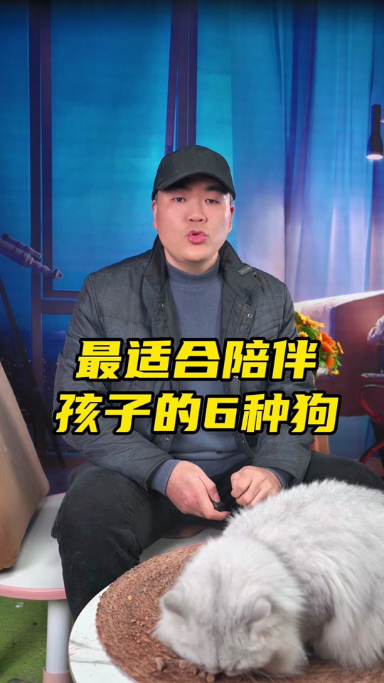 暴躁篮球犬的驯养传记最新更新内容