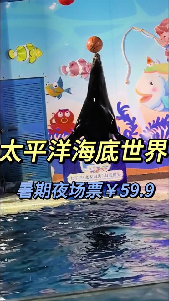 北京海洋馆门票学生票 - 抖音