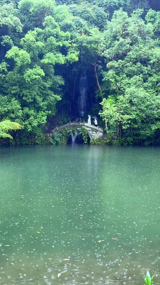 风语者抖音号 - 抖音