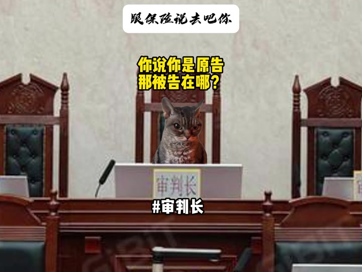 原告被告什么梗