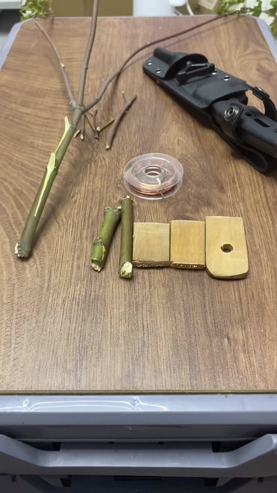 简单的绳套陷阱,生存必备实用技能#野外生存#末日生存#捕猎陷阱#生存