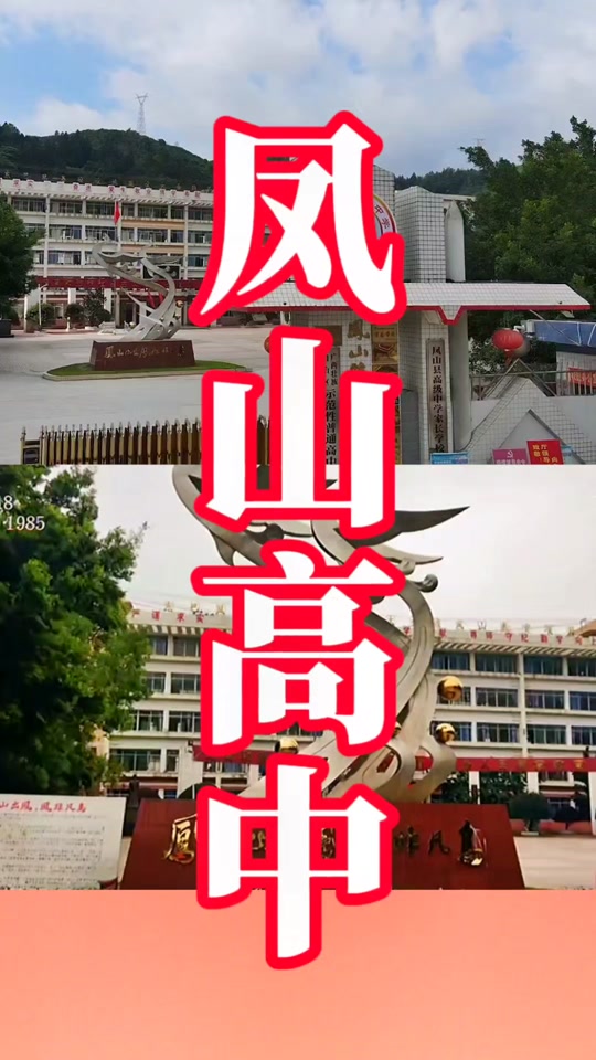 广西凤山高中2024年本科多少人 - 抖音
