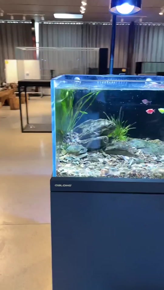 欧铂龙鱼缸