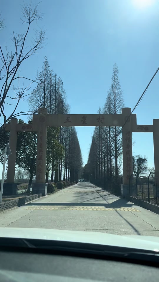 金坛三星村遗址