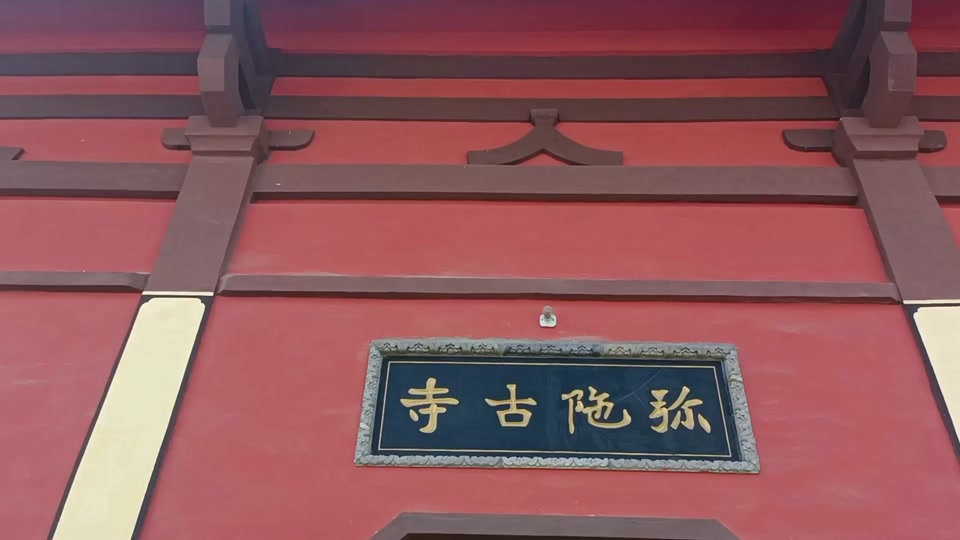 西安弥陀寺千年古玉兰