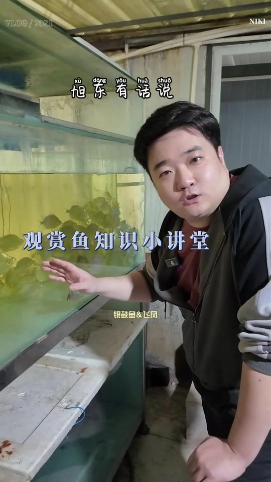 鹤针鱼是淡水还是海水