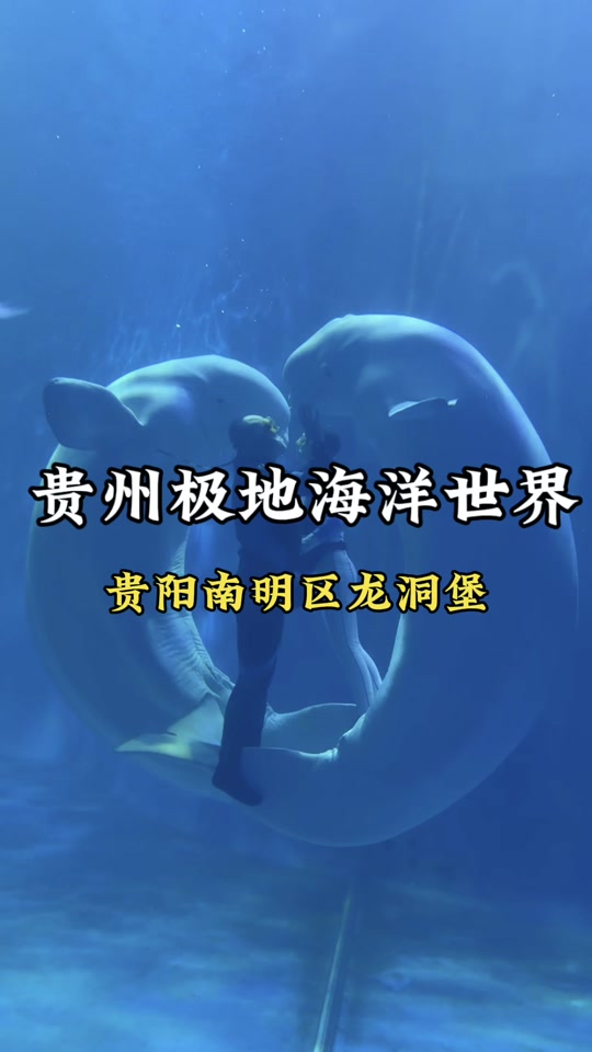 龙洞堡海底世界