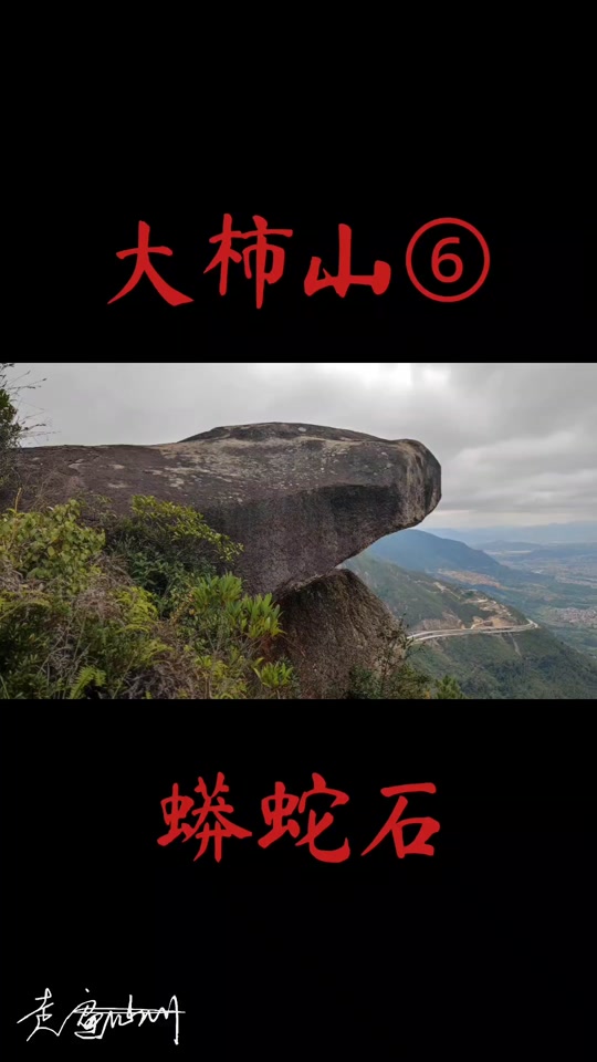 山东惊现万年巨蟒石