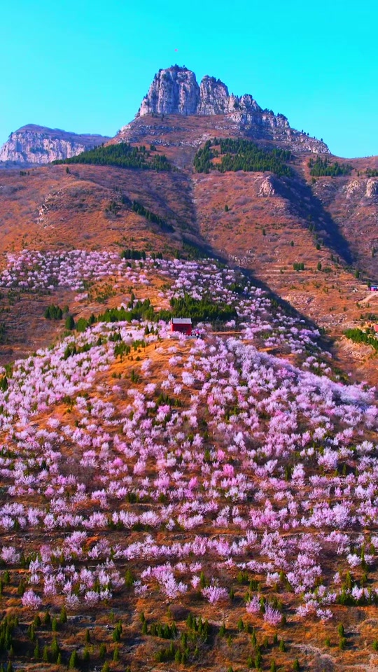 青州上稍村桃花山攻略