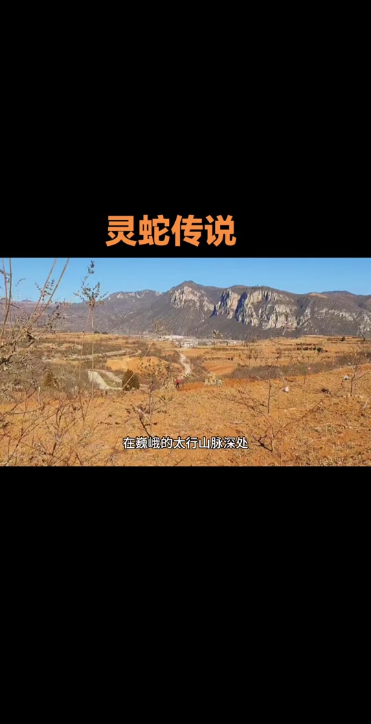 关于灵蛇的传说(灵蛇故事分享农村传说已久的三个蛇的故事)