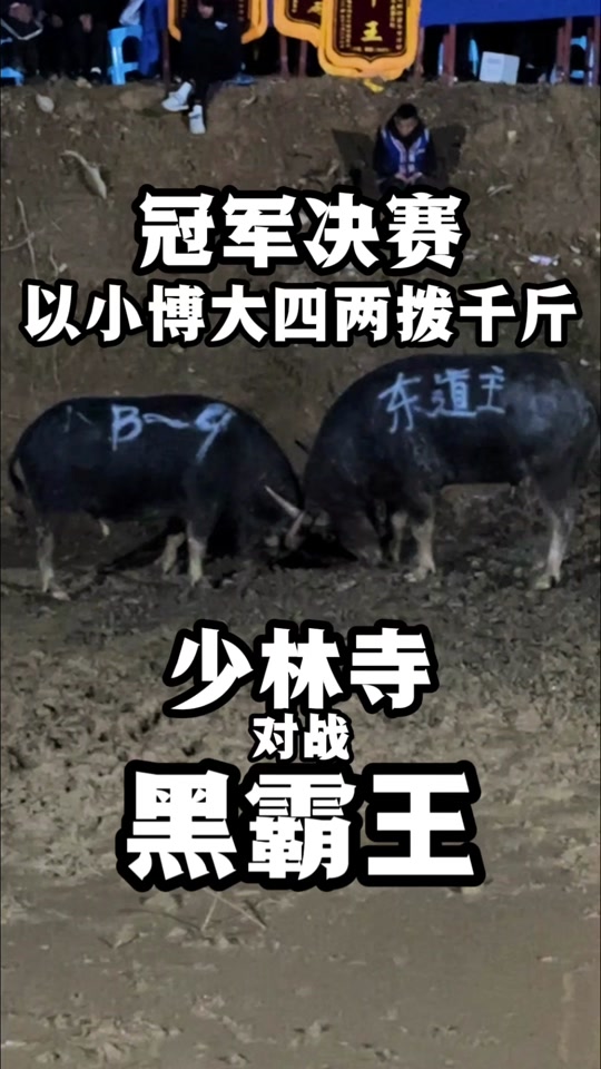 黑霸王牛王大战少林寺牛王