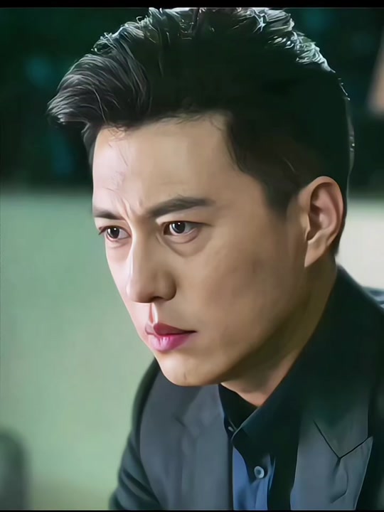 贺涵扮演者靳东