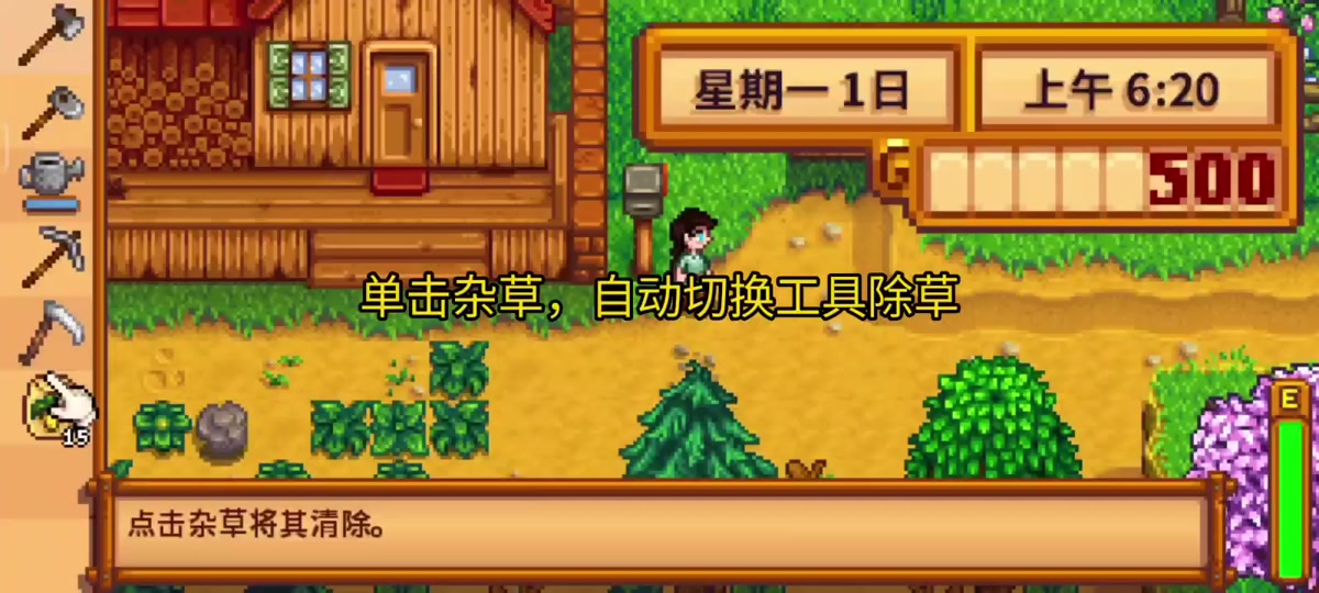 星露谷甜菜和彩虹贝壳代码