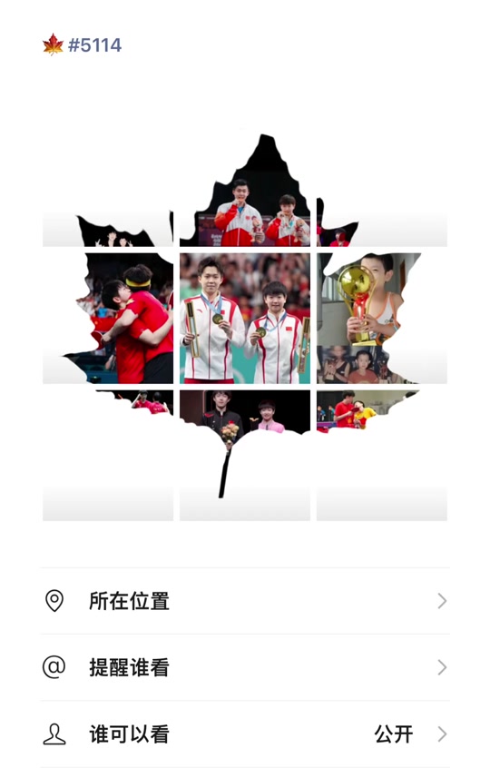 孙颖莎枫叶九宫格拼图怎么 - 抖音