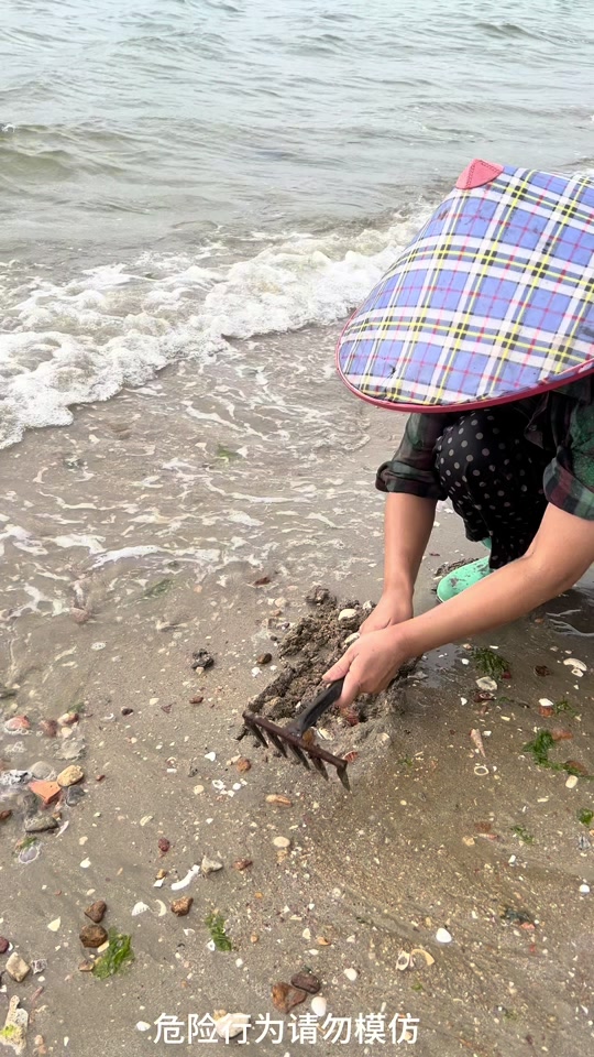 小雅夫妇海边游玩