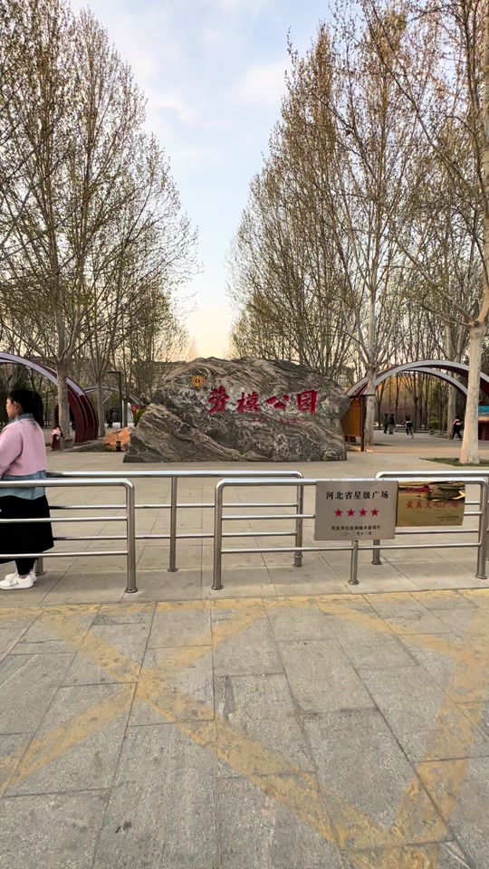 邢台劳模公园蔷薇花