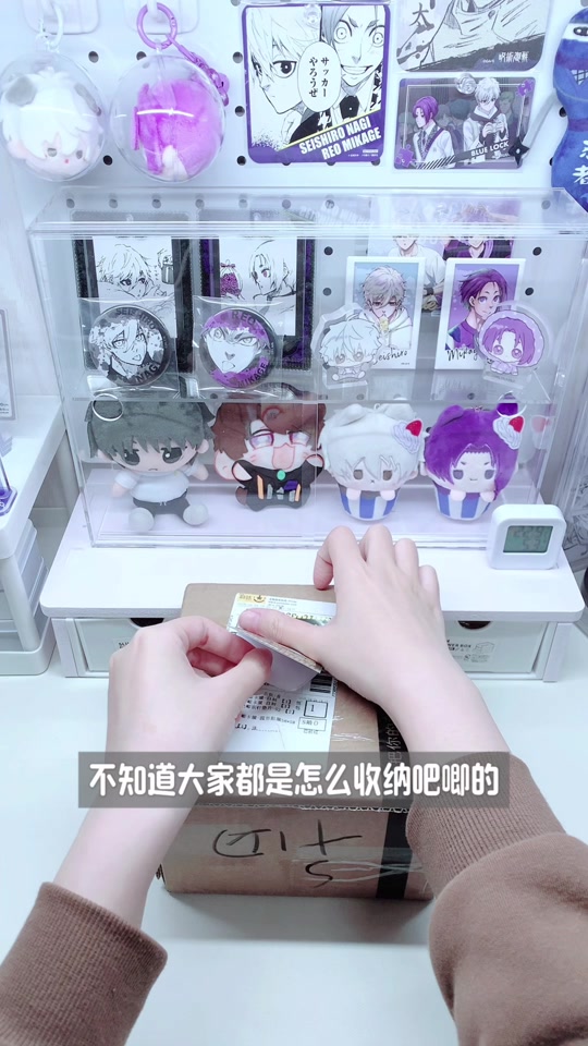 singba家的吧唧收纳册
