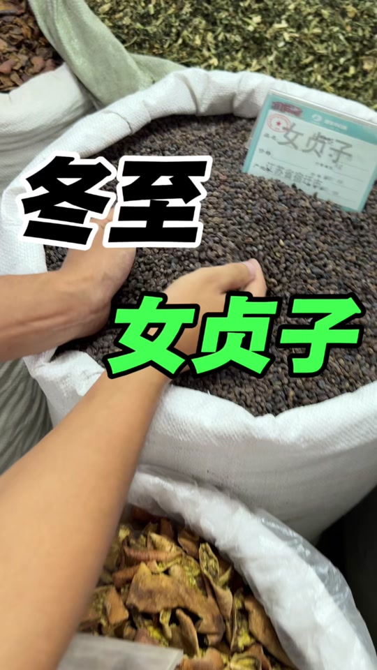 女贞子怀孕_只要胆子大贞子怀孕