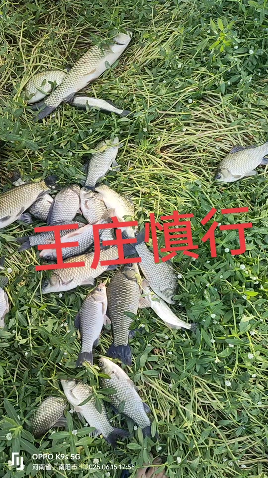 连云港王庄水库钓鱼