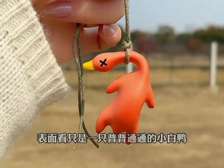 玉泉山小白眼鸭是什么鸭子