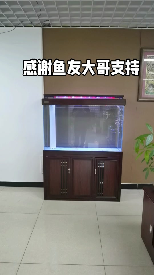 欧铂龙鱼缸