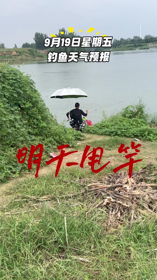 德保天气预报天气大全
