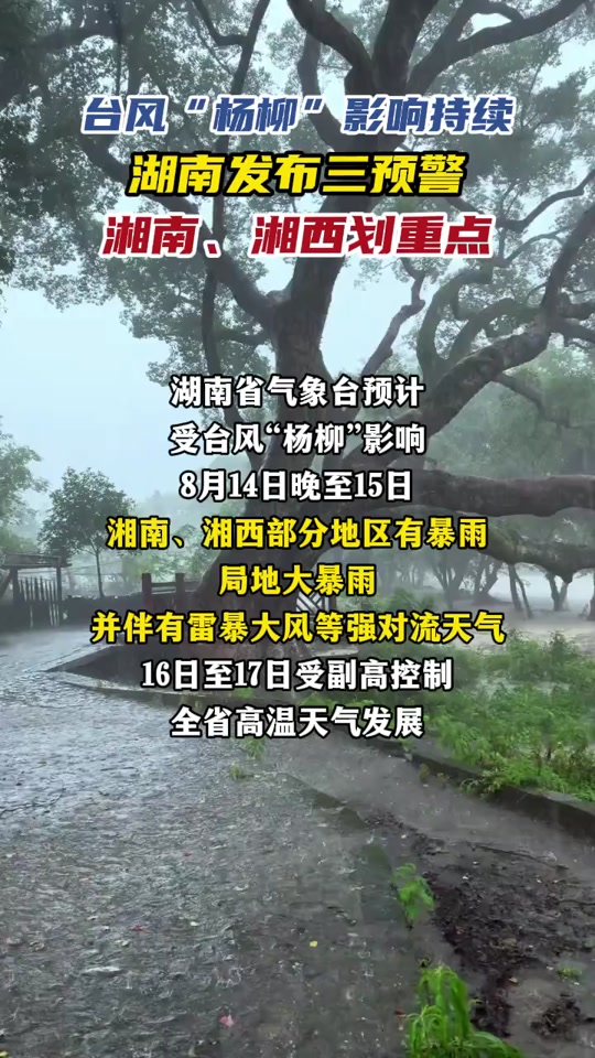 耒阳天气今日情况