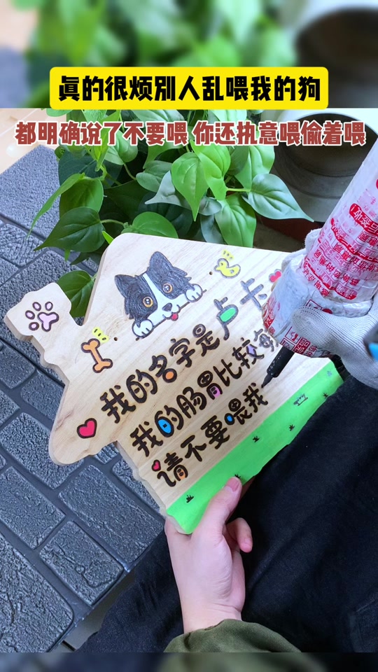 星野不要乱投喂是什么意思