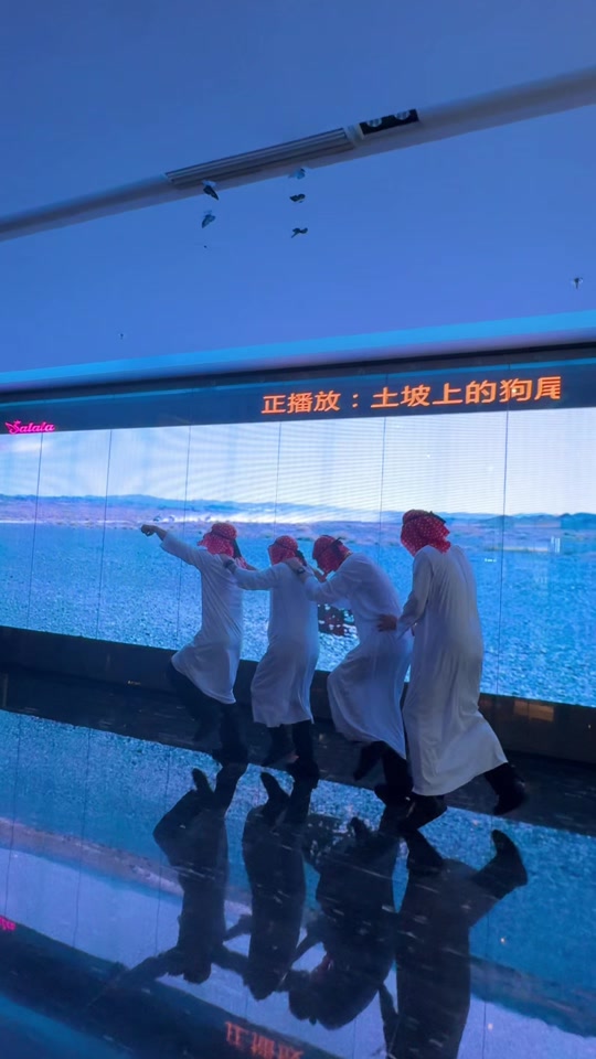 韩国女主播阿丽莎摩托舞混剪