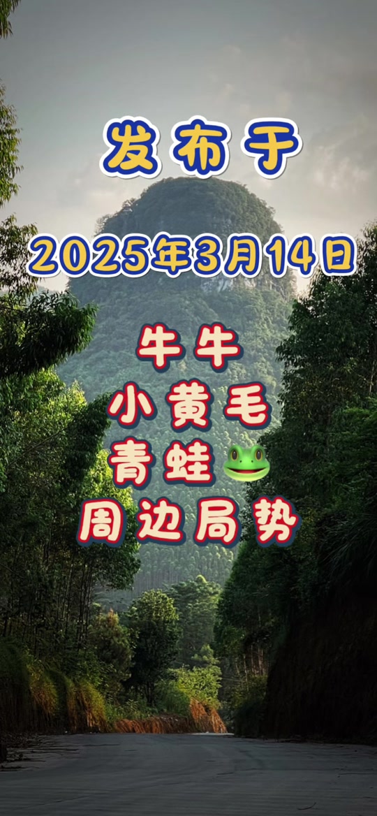 台湾虎报图库今天最新更新内容