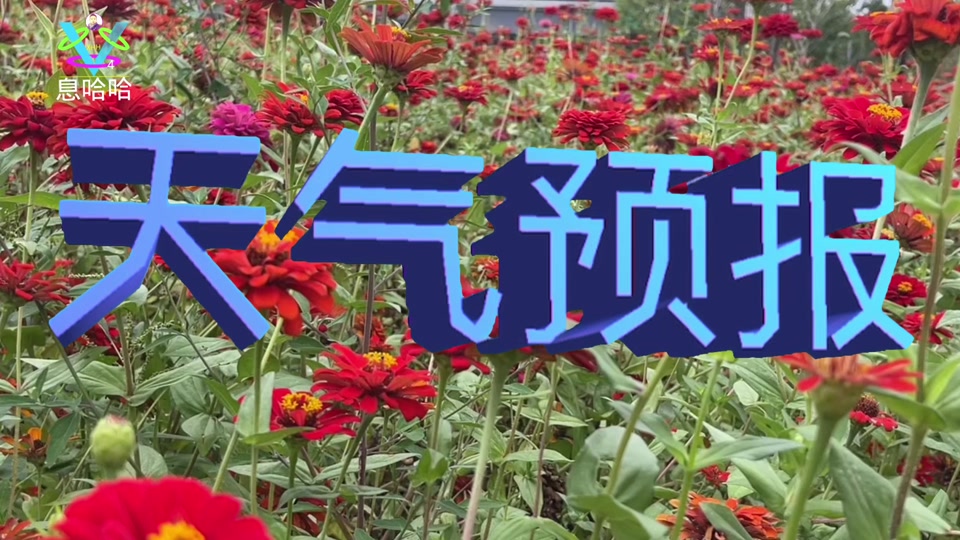 淄博市桓台县天气在线