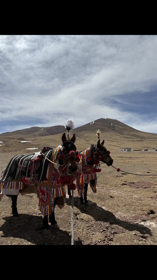 巴青县本塔乡赛马节2025