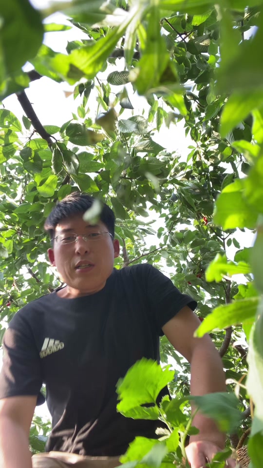 烟台日樱房地产老板肖立军