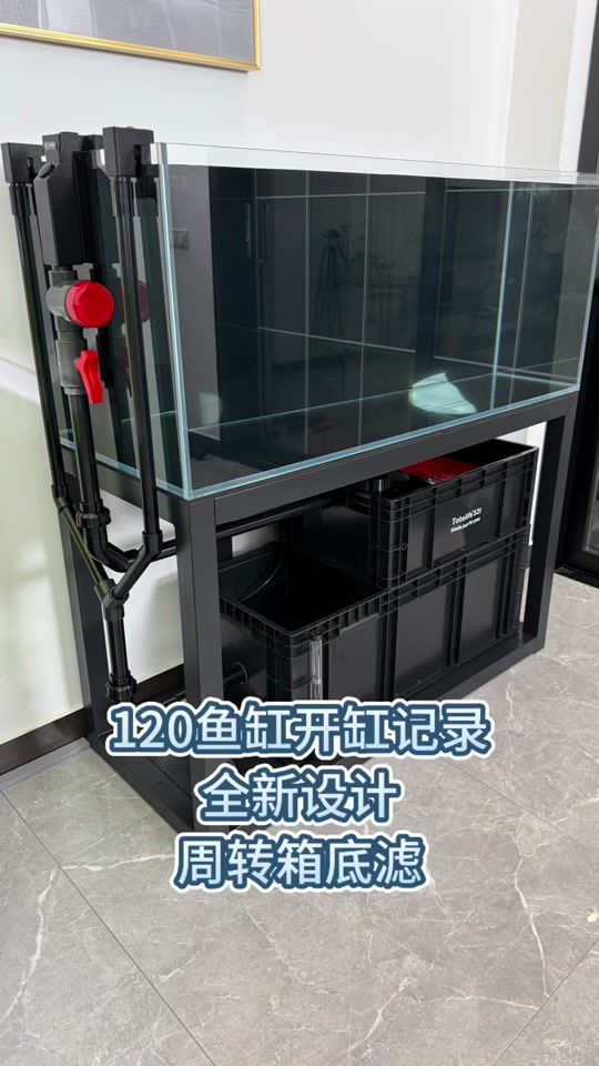 抖音底滤=抖音背景滤镜
