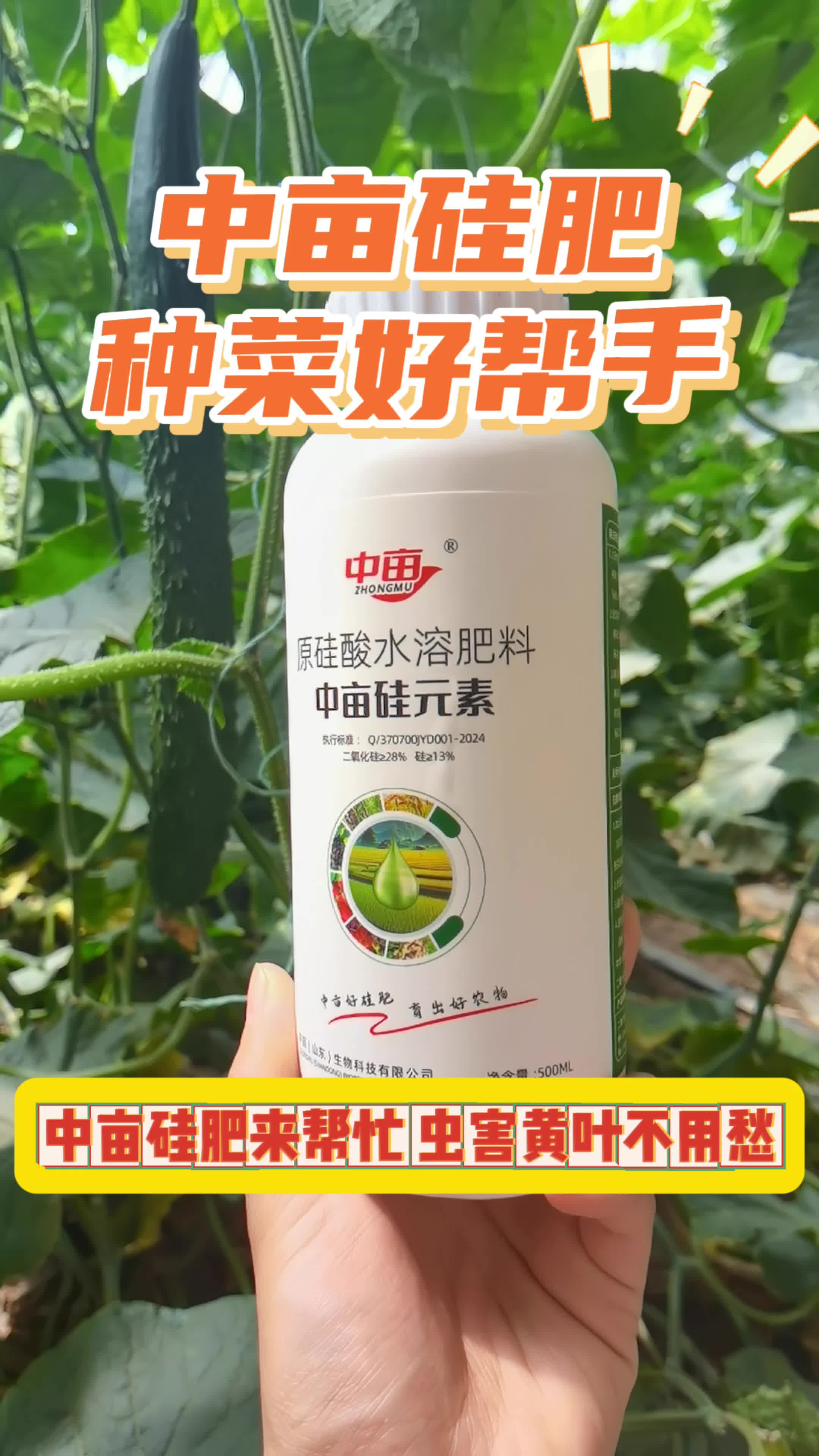 本地大型硅肥厂家,工厂发货,价格更优惠