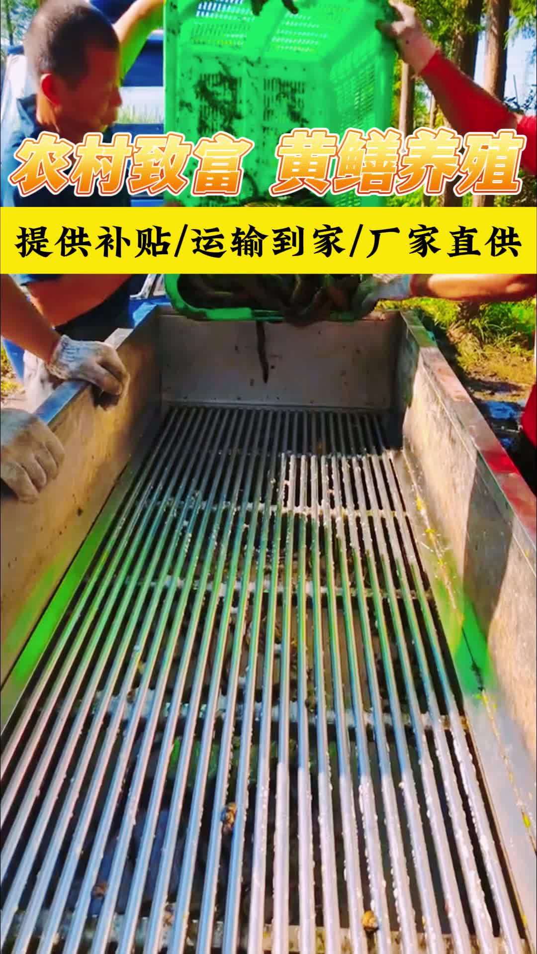 现在投资养殖什么最好小本(现在养殖什么东西投资小赚钱快)