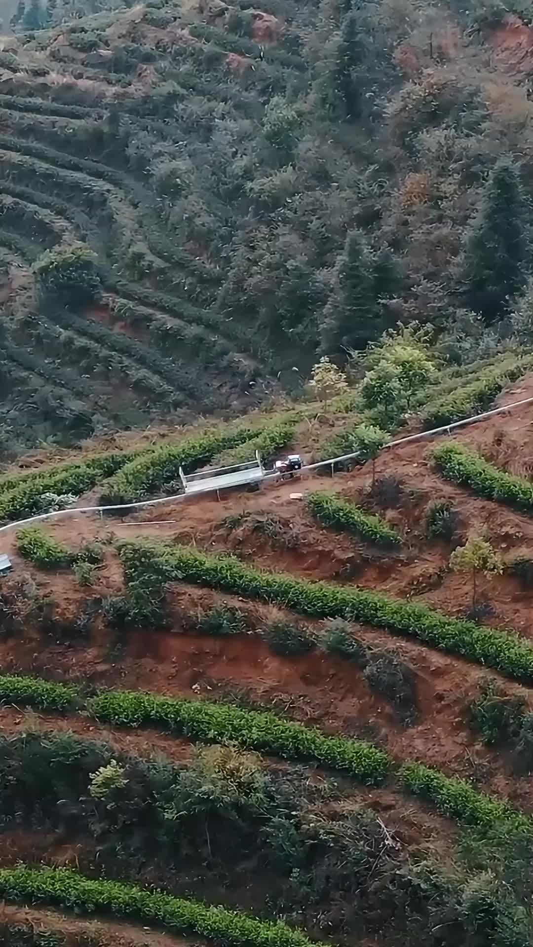 山地单轨运输车茶园工地农用爬坡轨道小火车山地果园单轨运输车