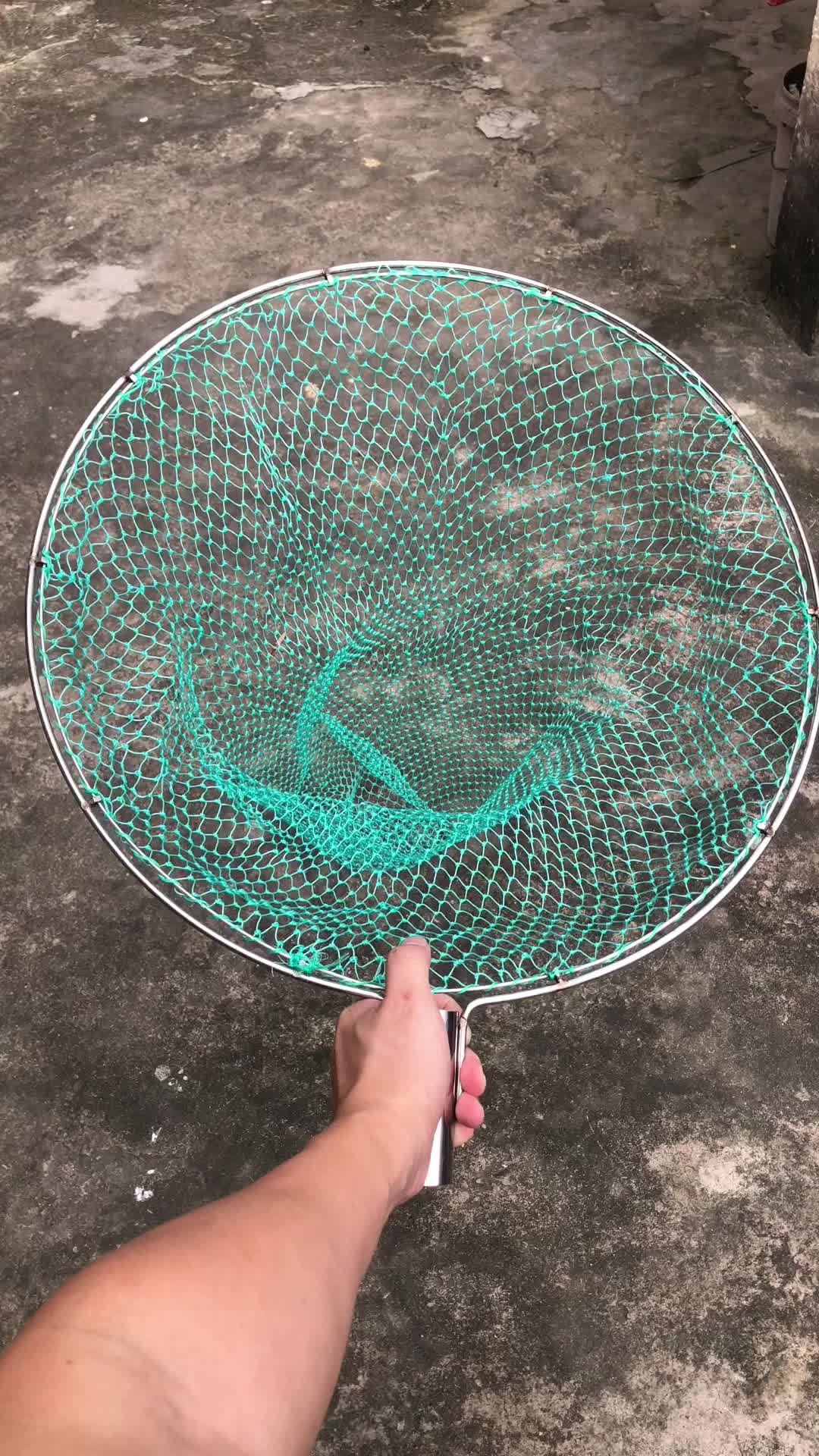 双圈不锈钢抄网头,坚固耐用,捞鱼网兜#渔具用品 #质量杠杠的好 #鱼网