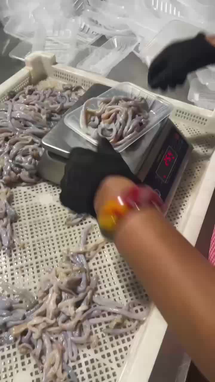 好吃到爆的沙虫沙肠子方格星虫1.2斤现杀250克1份