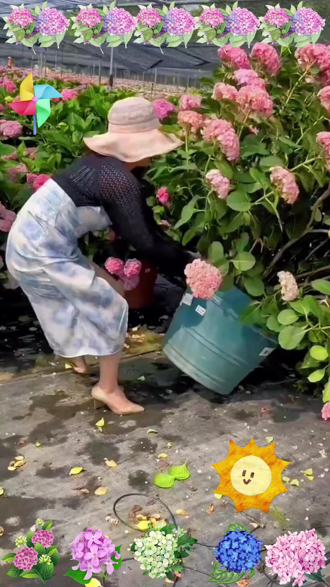 紫米粒开花好看吧#多肉植物 #一花一草一世界 #爱生活爱养花