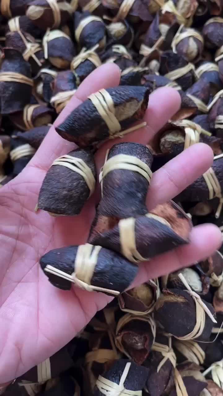 开始腌制广东三宝扎