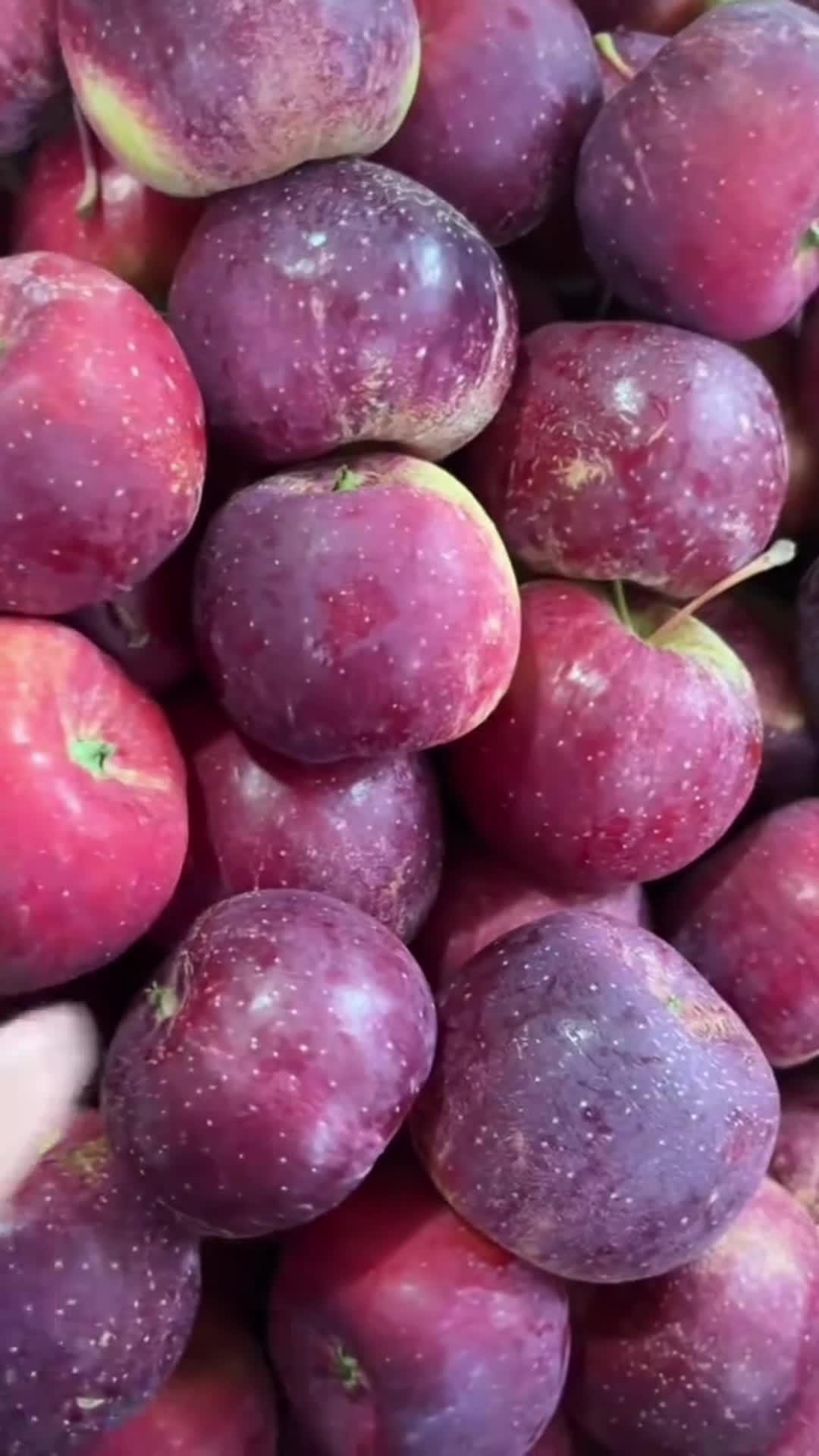 正宗龙丰果,新鲜水果,新鲜又便宜