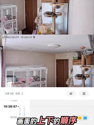 小米摄像机4双摄版画面有一个小问题,官方软件更新下次能不能帮助修正? #小米 #摄像机 #小米摄像机4 @小米公司